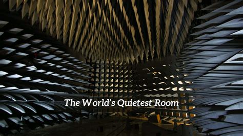 The Quietest Room In The World - CMUSE