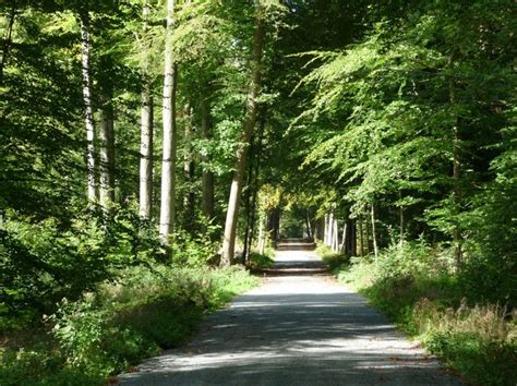 Three walks in the Mollendaal Forest | Discovering Belgium | Forest, Belgium, Charleroi