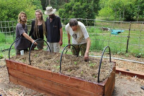 wicking bed – Permaculture College Australia