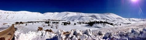 The Cedars & North Lebanon’s Mountains | A Separate State of Mind | A Blog by Elie Fares