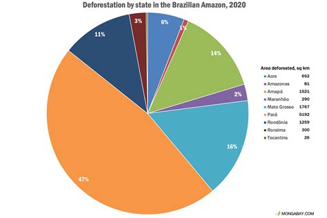 Amazon Deforestation Tops 11,000 sq km in Brazil, Reaching 12-year High - Global ResearchGlobal ...