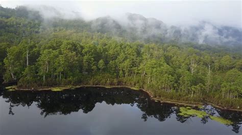 Lake Rosebery, Tasmania, Australia - YouTube