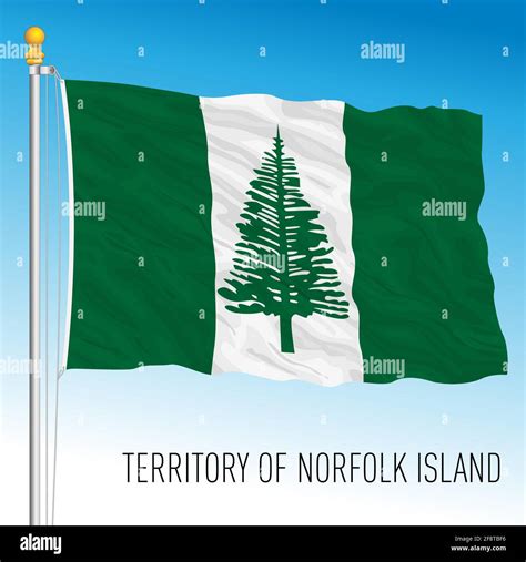 Norfolk island australia pine tree Stock Vector Images - Alamy