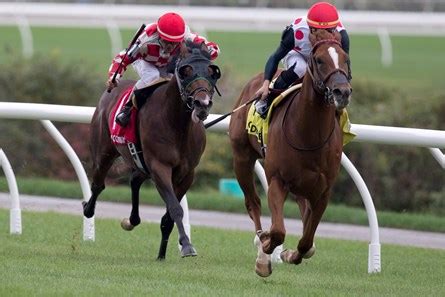 Old Chestnut - Horse Profile - BloodHorse