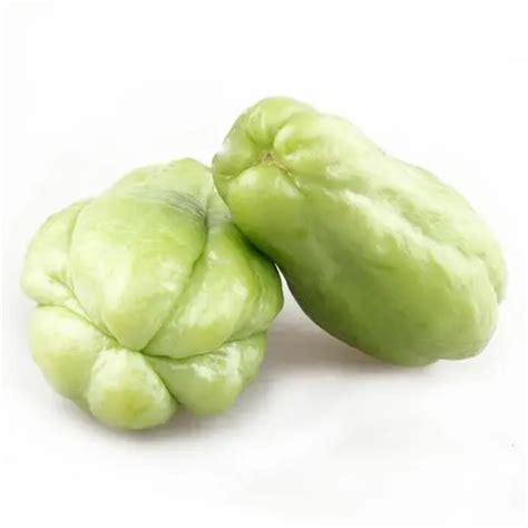 THAI CHAYOTE SEED/Fast Grow Fast Germination/Vegetable Plant Seeds Balcony Potted Vegetable ...