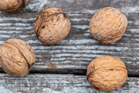 Fresh whole walnuts - Creative Commons Bilder