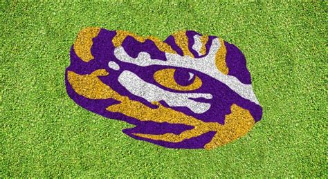 lsu-tiger-eye Eye Stencil, Stencils, Louisiana State University, Lsu Tigers, Summer Art, Cal ...