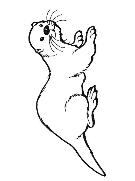 Otter Line Drawing at GetDrawings | Free download