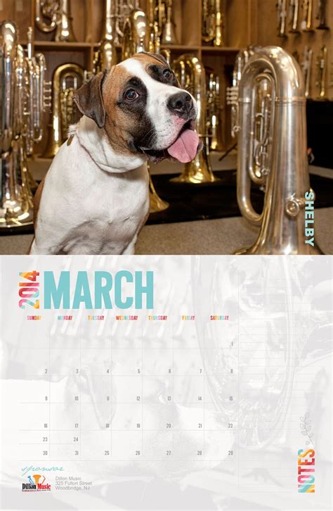 Calendar Fundraising Idea For Animal Shelters & Rescues