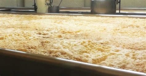 The Role of Yeast in Brewing Beer - Brewer World-Everything about beer ...