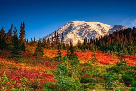 Fall Colors at Mount Rainier - Michael McAuliffe Photography