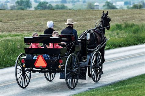 The Amish Buggy Is a Technological Marvel. Yes, Really. | Amish, Amish community, Amish family