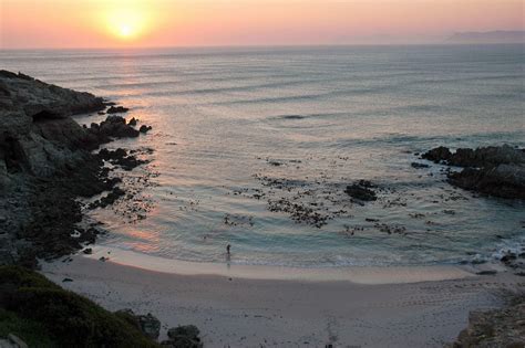 Gansbaai Beaches - Explore Gansbaai's Amazing Beaches - Xplorio™