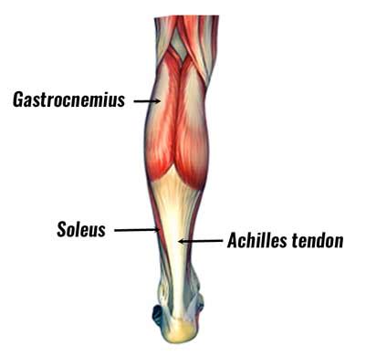 Calf Strain - Treatment & Rehabilitation & Exercises