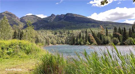 Northern Interior British Columbia: Aspen Recreation Site On The Morice ...