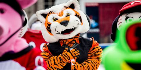 Bengals introduce new mascot Who Dey Exotic on April Fools' Day