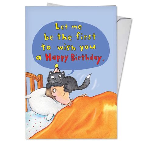 C3791HBDG Funny Single Birthday Greeting Card: Cat on Head with ...