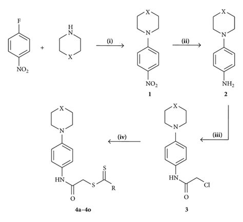 The synthetic route for the preparation of dithiocarbamate derivatives ...