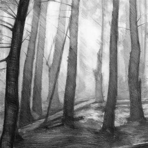 Dark Forest PRINT by Katarzyna Kmiecik / Pencil Forest - Etsy