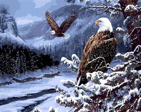 Flying eagle in the winter picture DIY digital Paintings Numbers Paint ...