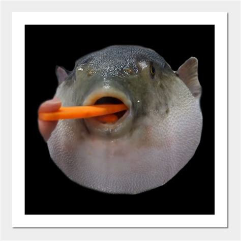 Funny Pufferfish Eating a Carrot Meme