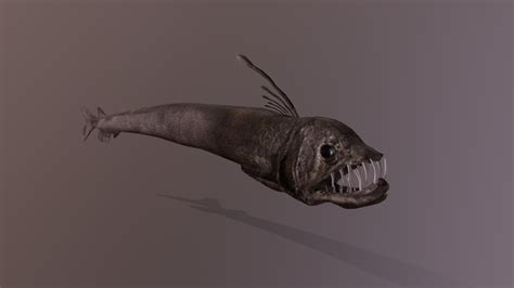 viperfish - 3D model by txzero [265930d] - Sketchfab