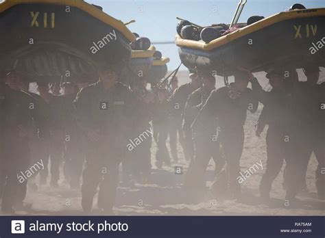 Us navy sea air land seal team hi-res stock photography and images - Alamy