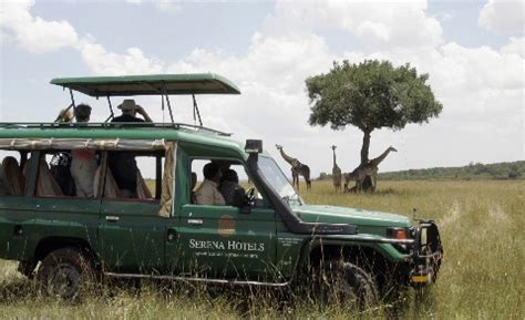 Protecting Wildlife and Tourism in East Africa - The New York Times