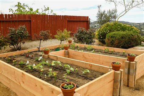 Raised Cedar Garden Beds | 40 Raised Garden Bed Ideas That Won’t Break the Budget | Decoist