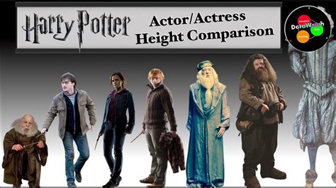 Height Comparison | Harry Potter Actors - YouTube