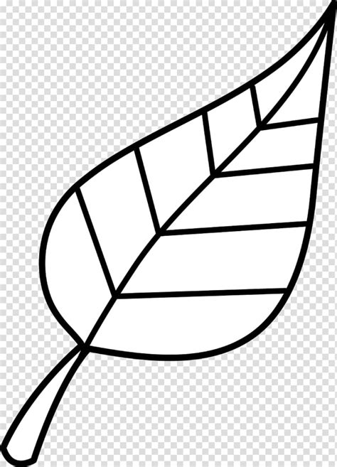 Look at Leaves Black and white Leaf , Black Leaves transparent ...