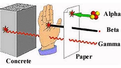 Difference Between Alpha Beta and Gamma Radiation | Physical science, Nuclear physics, Science ...