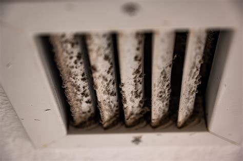 How to get rid of mould in air conditioners | HVAC mildew cleaning