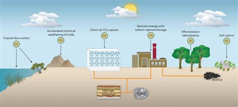 Biofuels are a controversial climate solution. Could they still help save the planet? | LaptrinhX