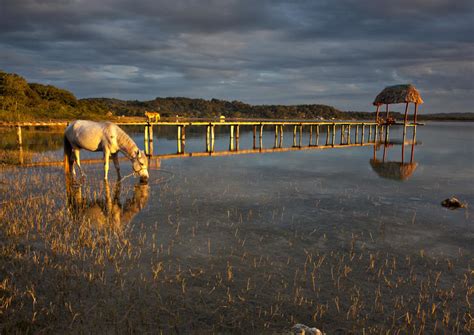 Lake Peten Itza Wallpaper