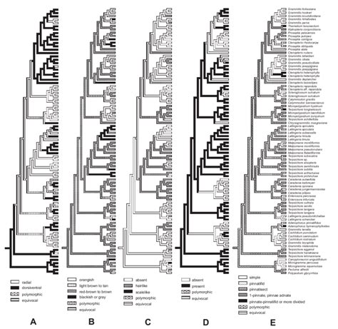 Examples of characters exhibiting high levels of homoplasy mapped onto... | Download Scientific ...