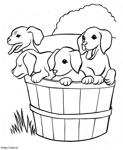 Puppies coloring page