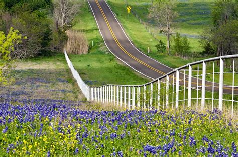 Best Scenic Drives Through Texas Hill Country - Peach Tree Inn & Suites