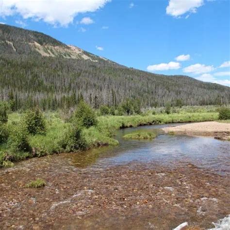 Freshwater Fish Species in Colorado (ID + Pictures) - Pond Informer