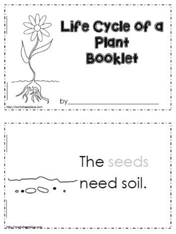 Life Cycle of a Plant Worksheets | Plant life cycle worksheet, Plant ...