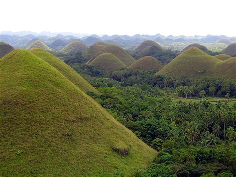 Chocolate Hills,Bohol - The Philippines Photo (489006) - Fanpop