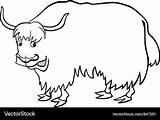 Yak Clipart Coloring Animal Pages Color Cliparts Coloriage Animals Draw  sketch template