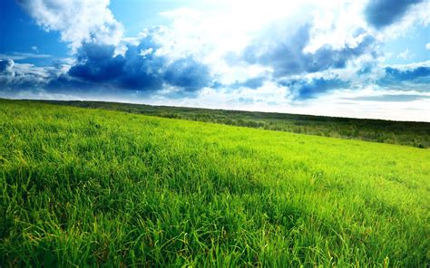 superb green field-landscape HD Wallpaper Preview | 10wallpaper.com