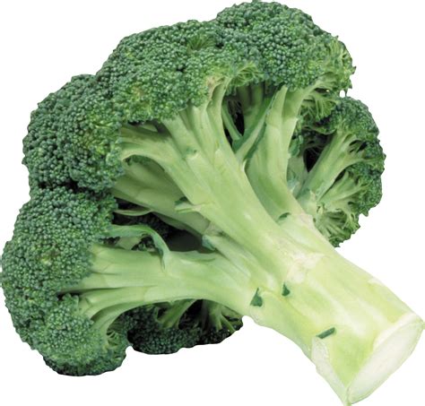 Broccoli PNG image, free Broccoli pictures download