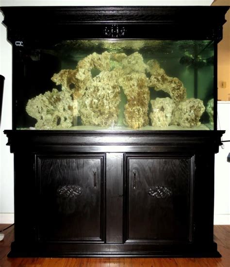 90 Gallon Tank | Saltwater fish tanks, Saltwater tank, Fish tank