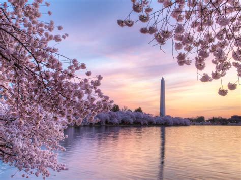 Washington DC Spring Wallpapers - Wallpaper Cave