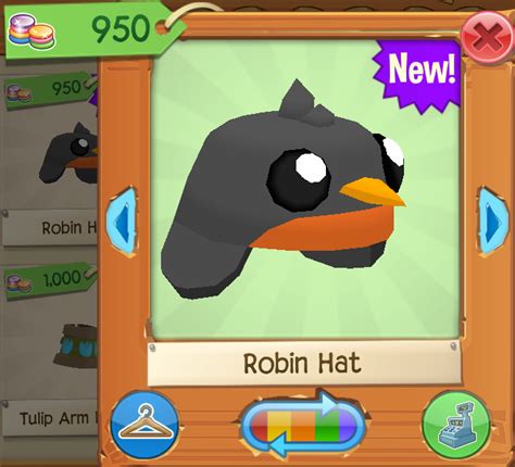 Robin Hat | Animal Jam Wiki | Fandom