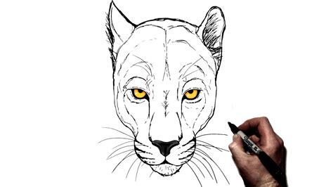 how to draw a black panther animal face - pressedflowerbodyart