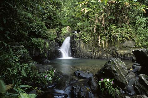 Visiting Puerto Rico’s El Yunque National Park — TravelCoterie