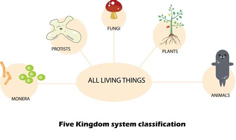 In which kingdom would you include archaea and nitrogen-fixing ...